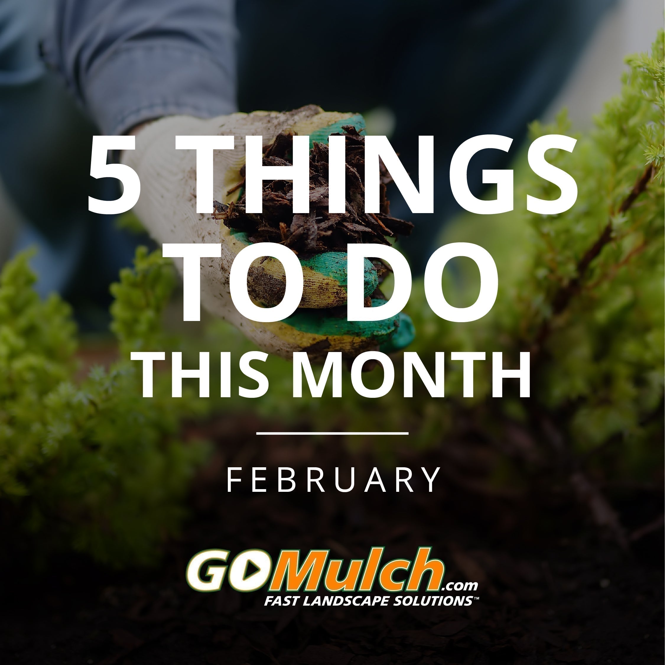 Preparing Your Florida Lawn & Garden for Spring: 5 Things to Do in February
