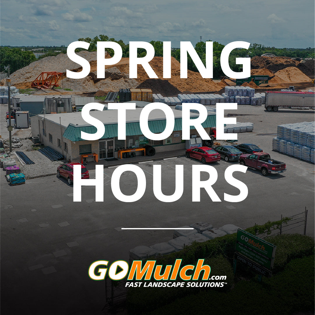 Spring Store Hours