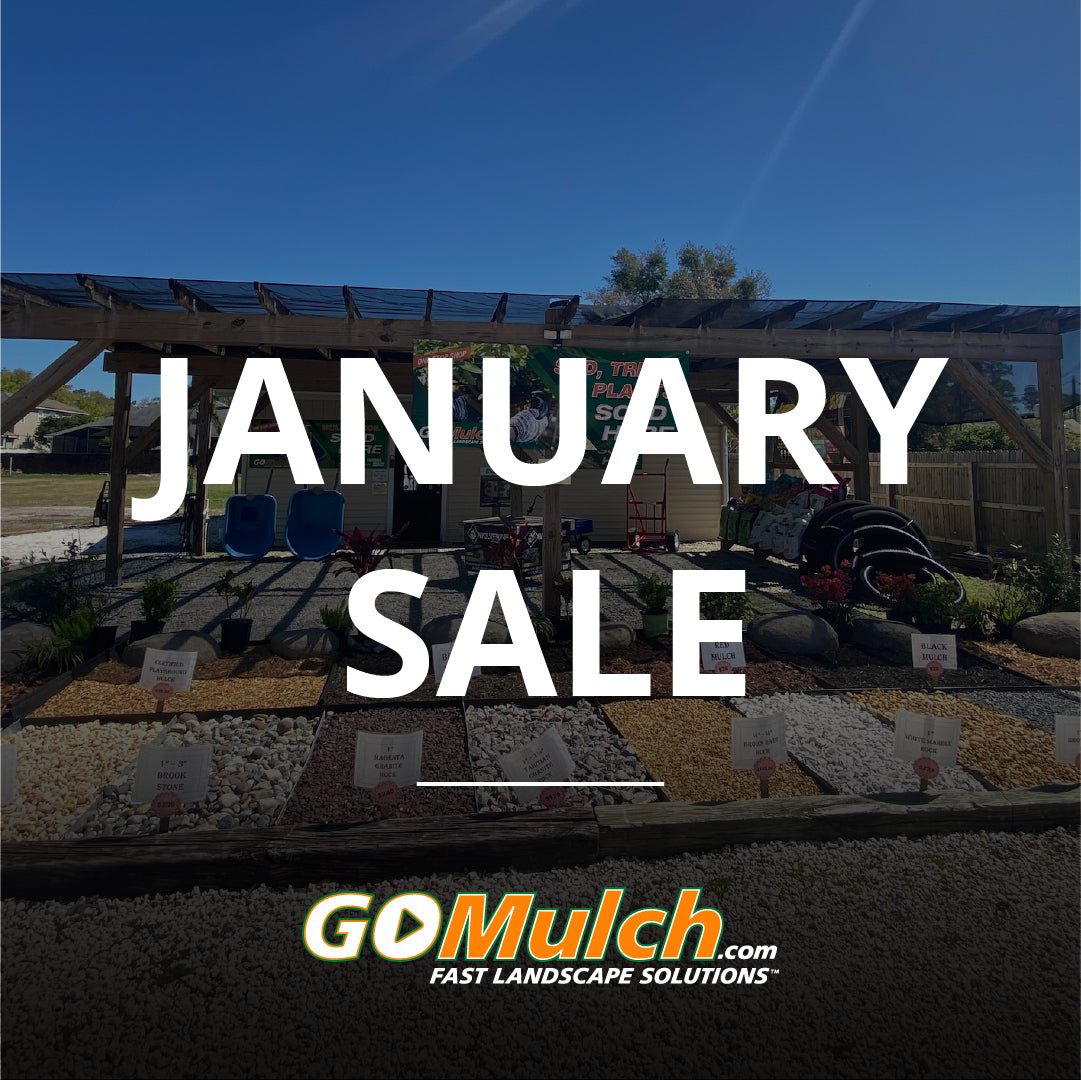 January Sales Are Here!