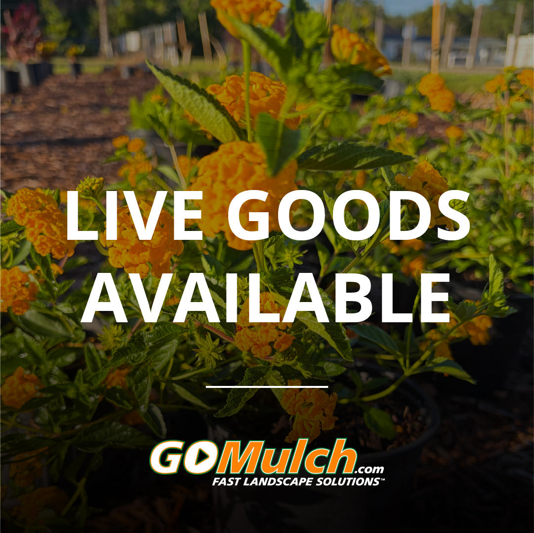 Live Goods Available - Winter Garden & Altamonte Springs
