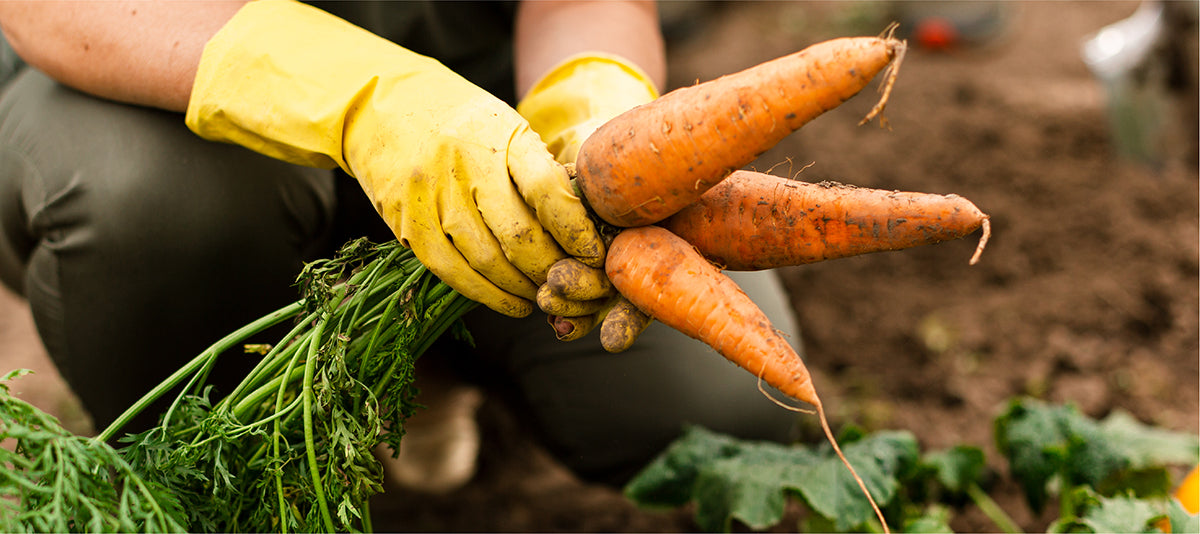 Gardening Products