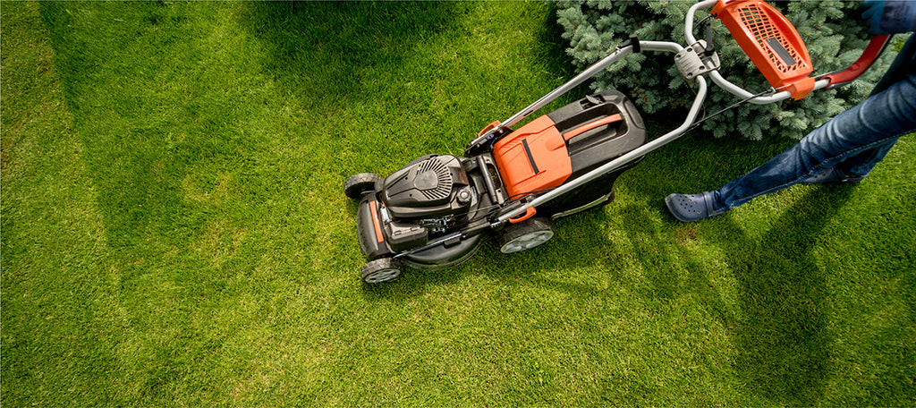 Lawn Care Products